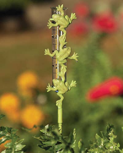 Cast Brass Frog Rain Gauge, Staked