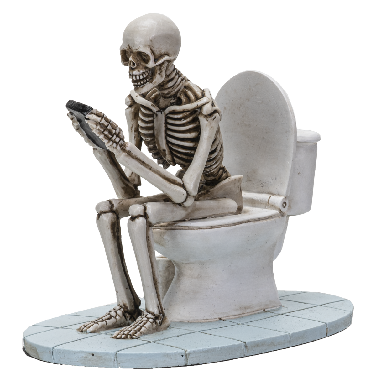 Skeleton on Toilet