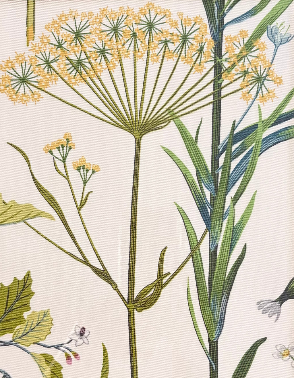 Close-up of umbrella-shaped yellow flower clusters and tall green leaves on cream Isabella fabric.