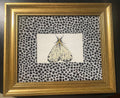 Embroidered Moth Wall Art — Gold Frame with Ballard Designs Ebony Tully Fabric Mat (No. 1)