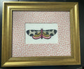 Black & White Graphic Butterfly-Moth — Embroidered Wall Art, Gold Frame with Tully Rose Quartz Fabric Mat