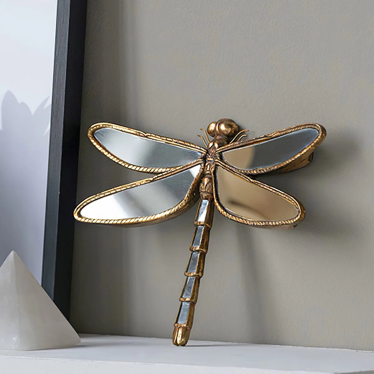 Dragonfly Mirror