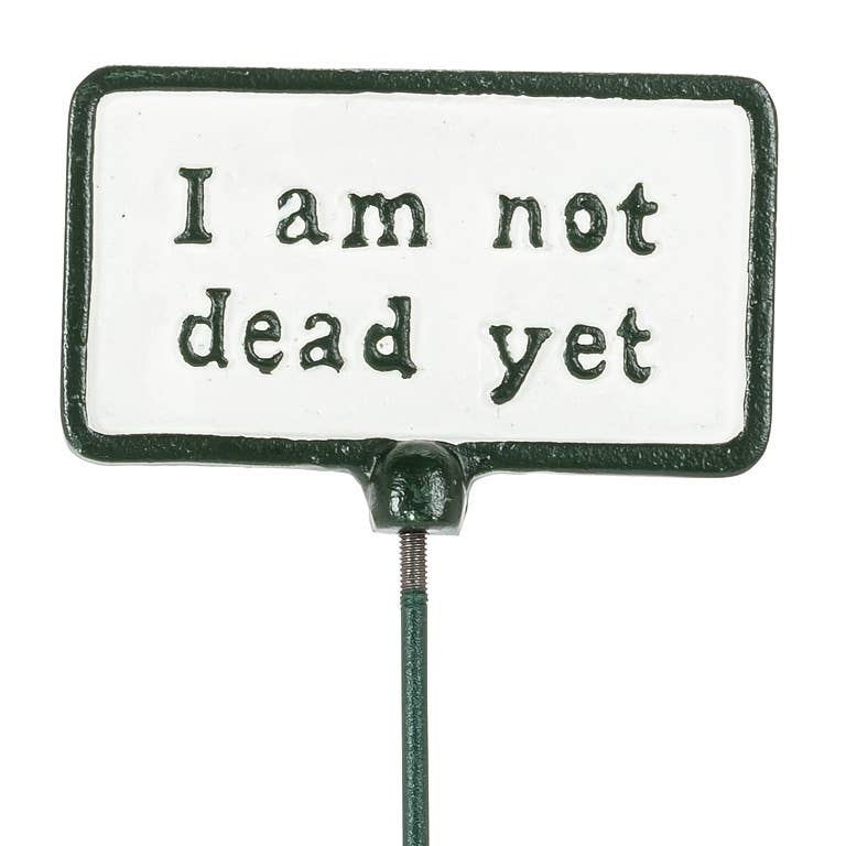 Plant Signs-Antique White-5 Assorted-2x3.5"L
