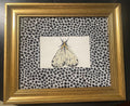 Ballard Designs Ebony Tully fabric matting with adorable embroidered Moth in the center!