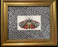 Embroidered Butterfly Moth surrounded by Ballard Designs Tully Ebony Fabric Mat