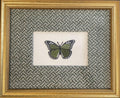 Framed Embroidered Butterfly Applique - Ballard Designs Emyrs Stem Fabric Mat, Nature Decor
