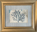 Pair of Dive In Aqua Fabric Coastal Art, Gold Frame with Ballard Designs Matting