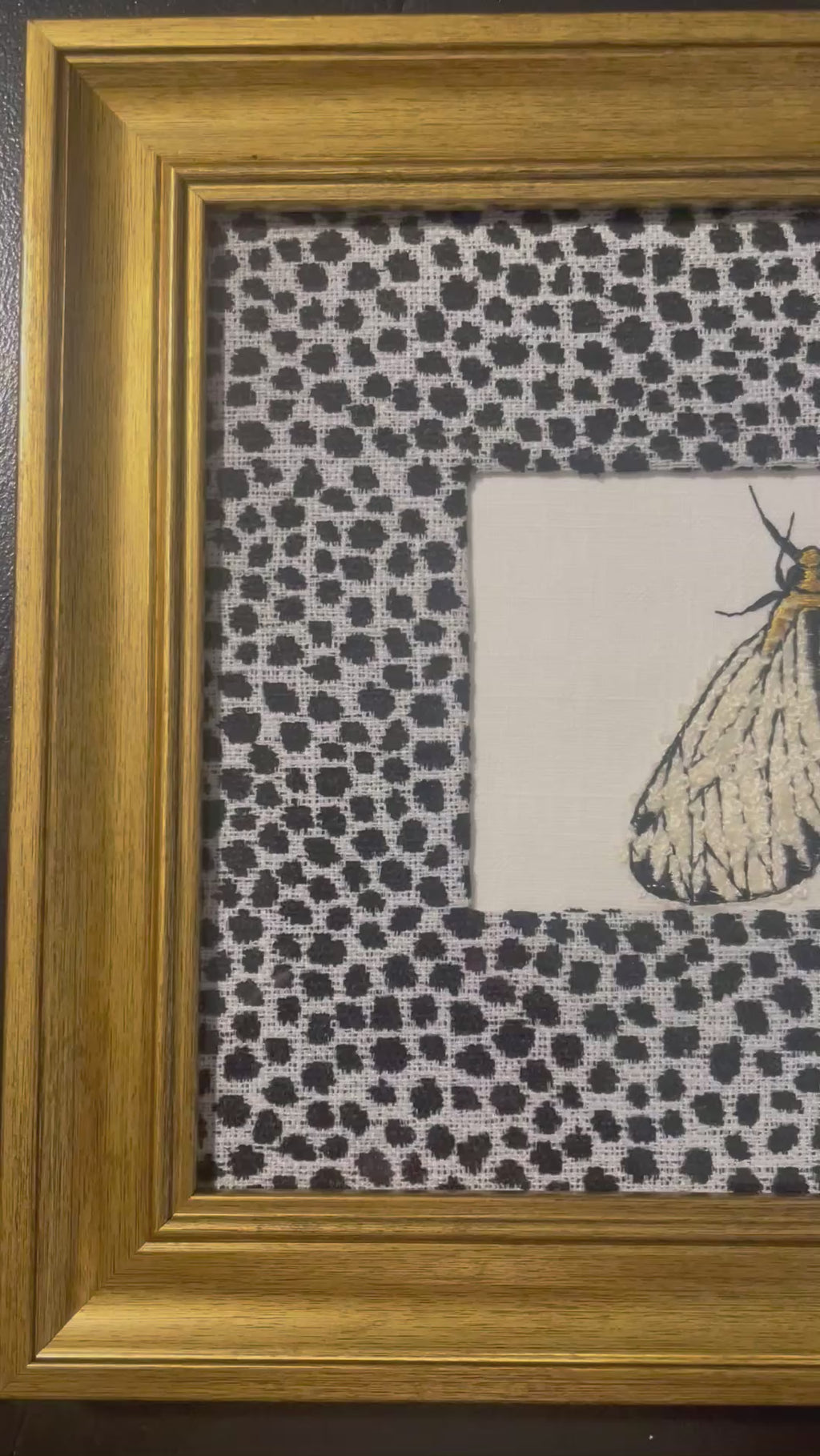 Embroidered Moth Wall Art — Gold Frame with Ballard Designs Ebony Tully Fabric Mat (No. 1)