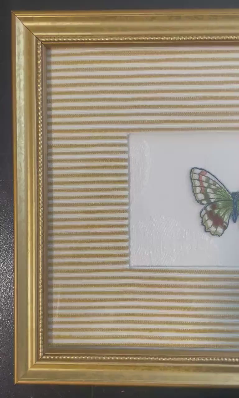 Embroidered Butterfly Art: Custom Framed Ballard Designs Biff Mustard Fabric