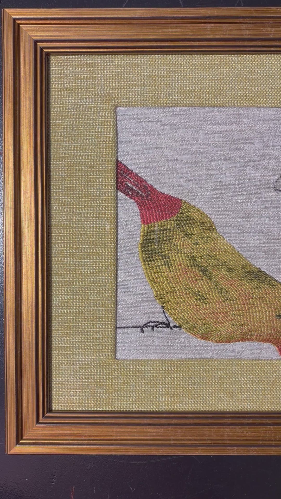 Red-Beaked & Blue Bird Duo — Fabric Wall Art, 13x16 Gold Frame